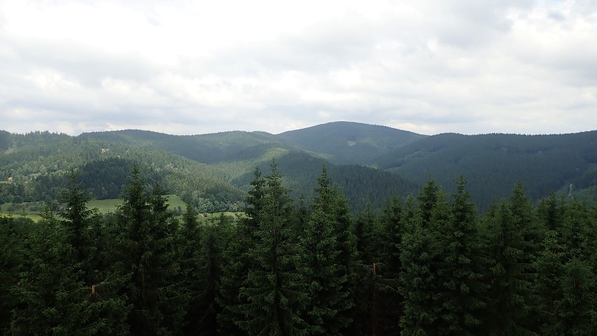 img00031.jpg