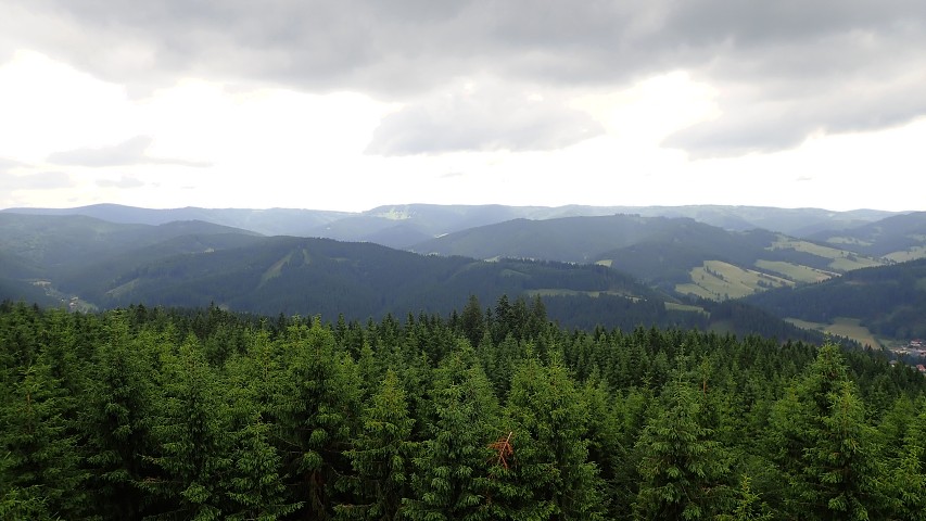 img00033.jpg
