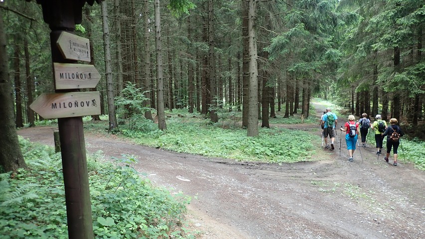 img00036.jpg