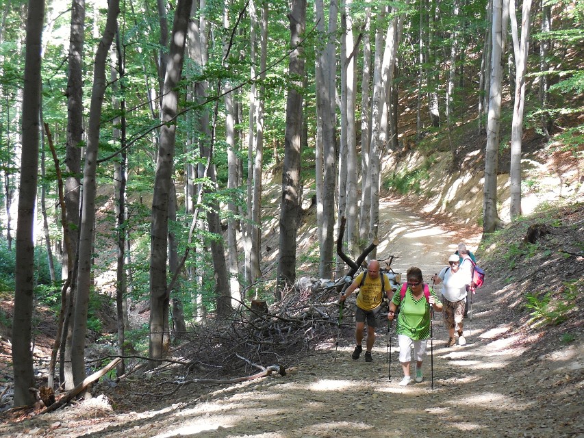 img00007.jpg