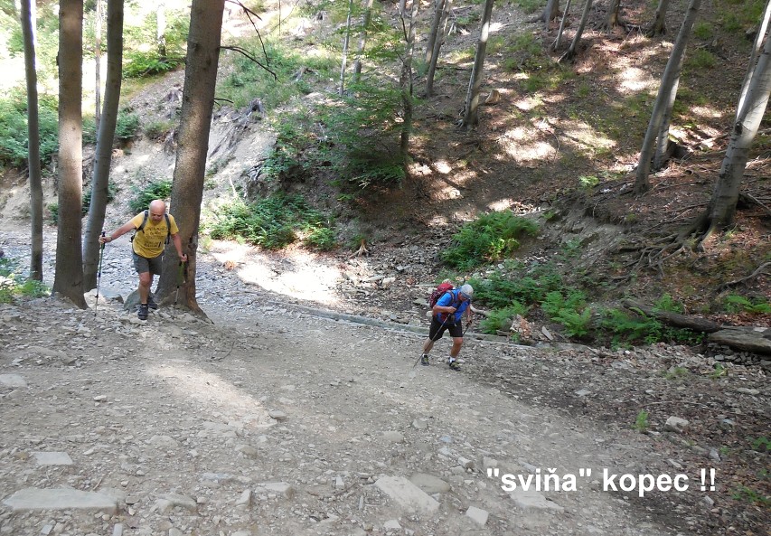 img00008.jpg
