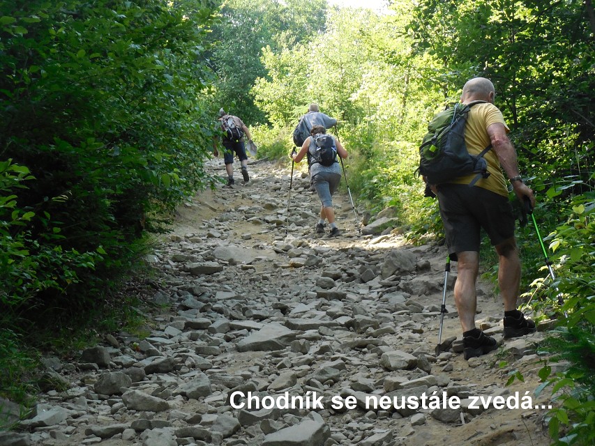 img00012.jpg
