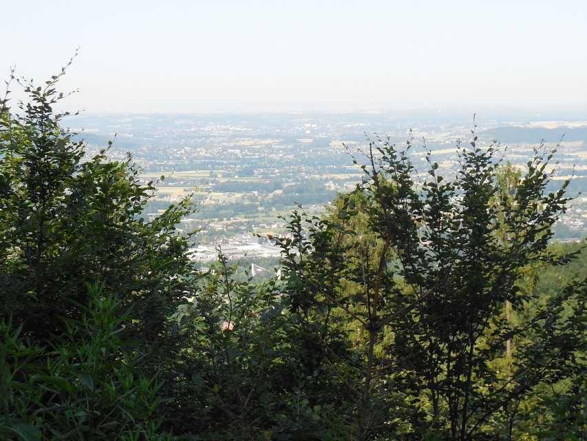 img00014.jpg