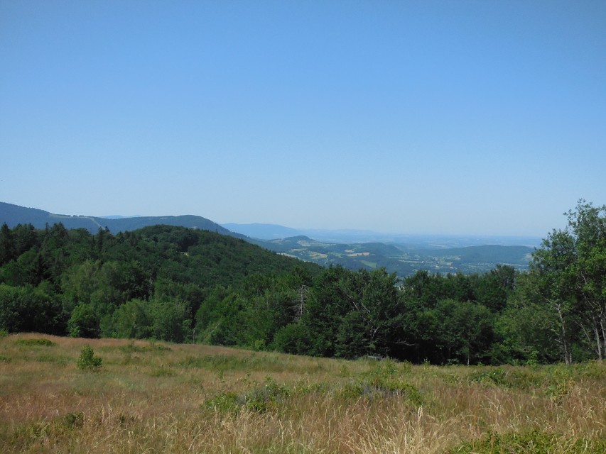img00021.jpg