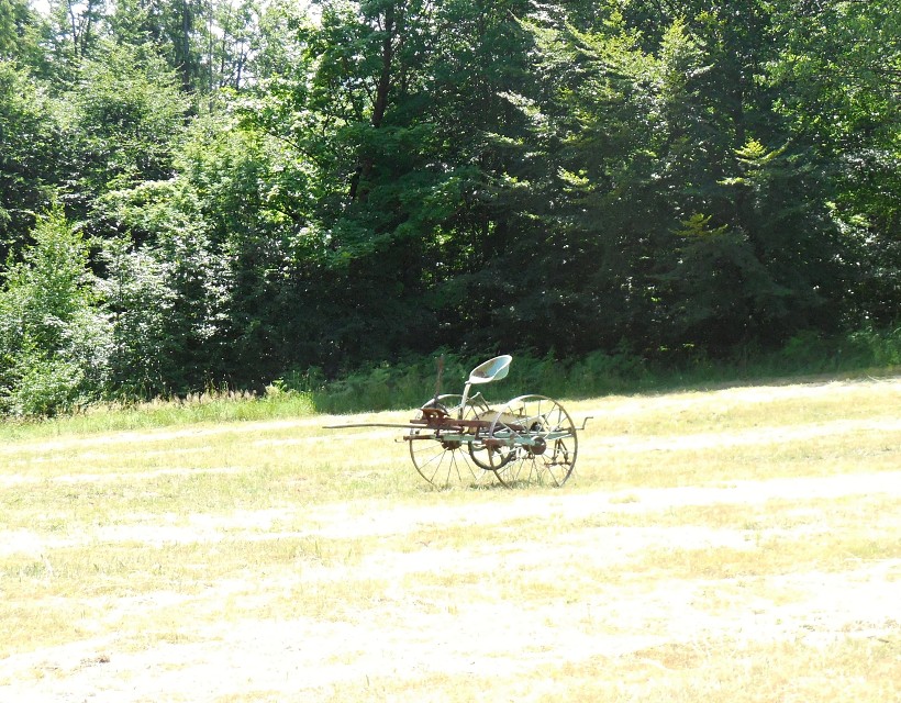 img00036.jpg
