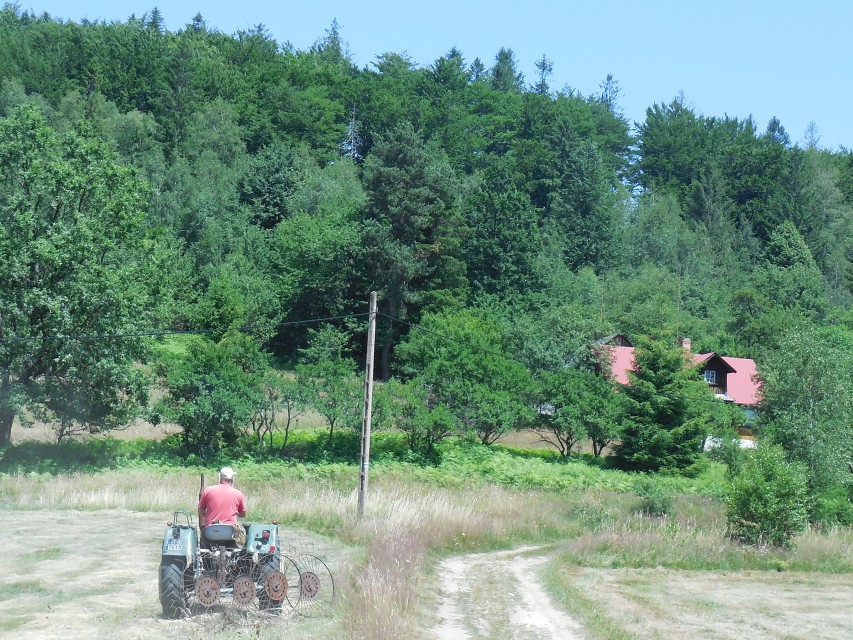 img00037.jpg