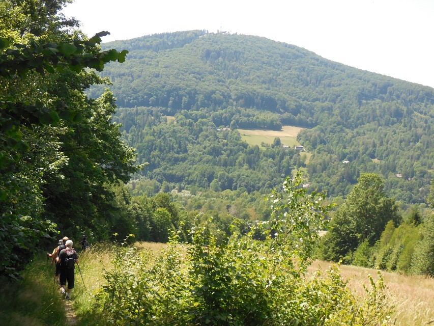 img00038.jpg