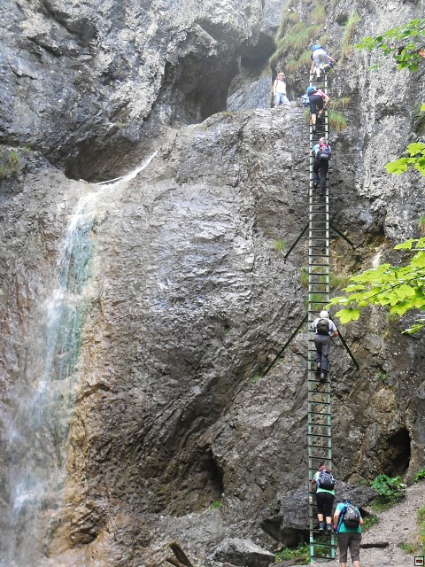 img00007.jpg