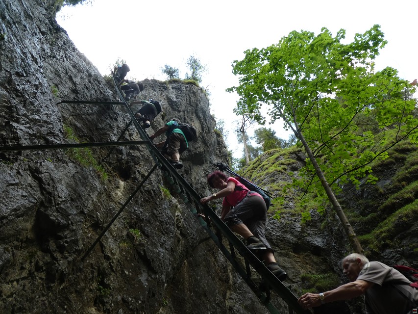 img00008.jpg