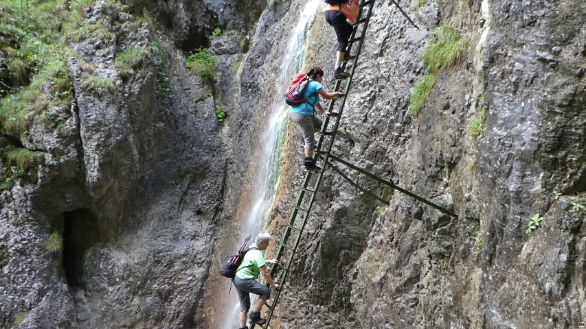 img00009.jpg