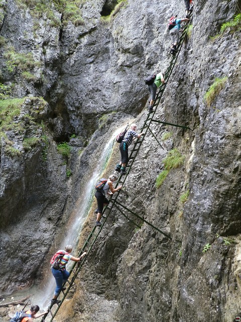 img00010.jpg