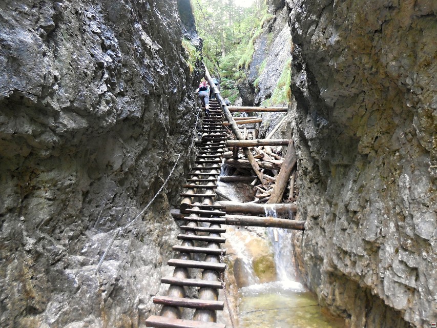 img00014.jpg