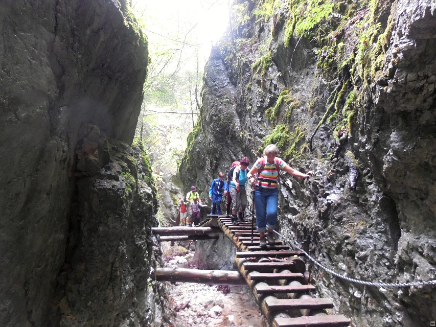 img00019.jpg
