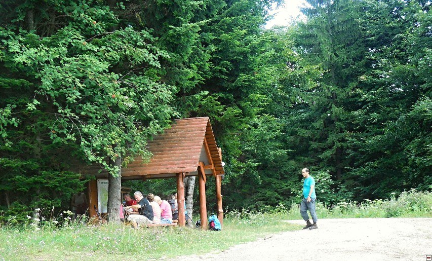 img00029.jpg
