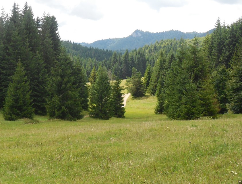 img00030.jpg