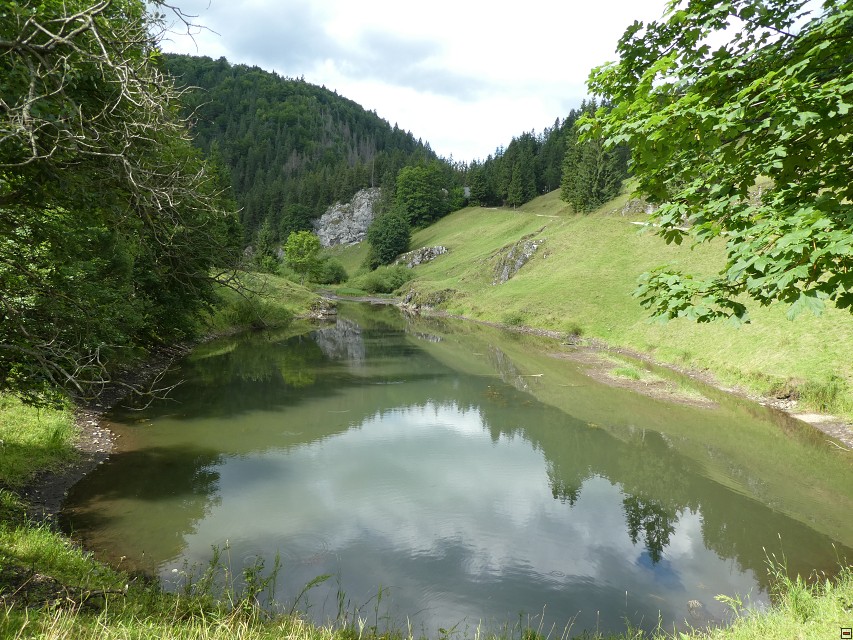 img00037.jpg