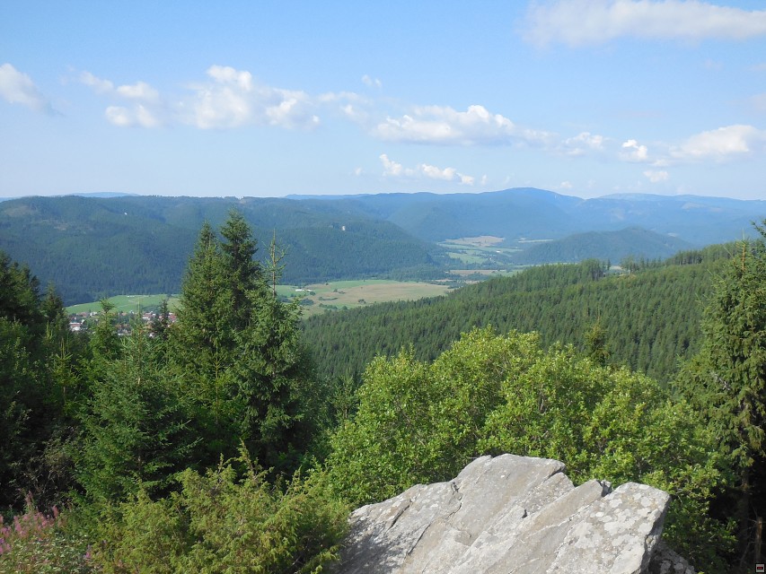 img00049.jpg