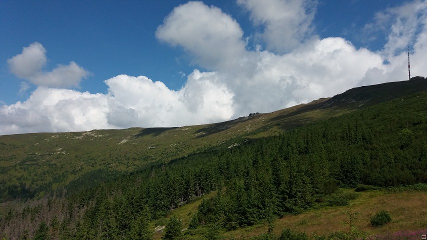 img00065.jpg
