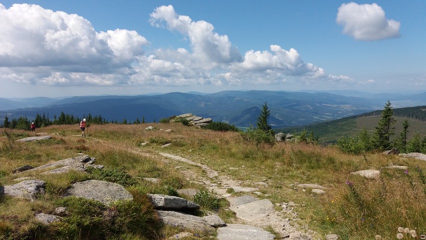 img00066.jpg