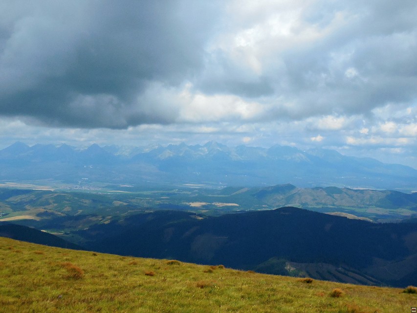 img00075.jpg
