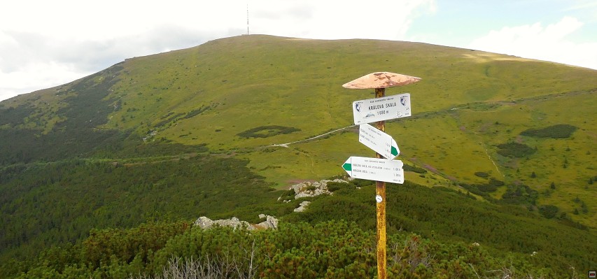 img00085.jpg