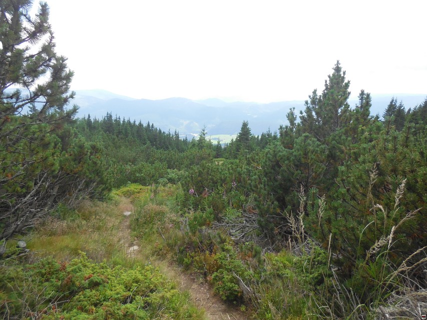 img00088.jpg