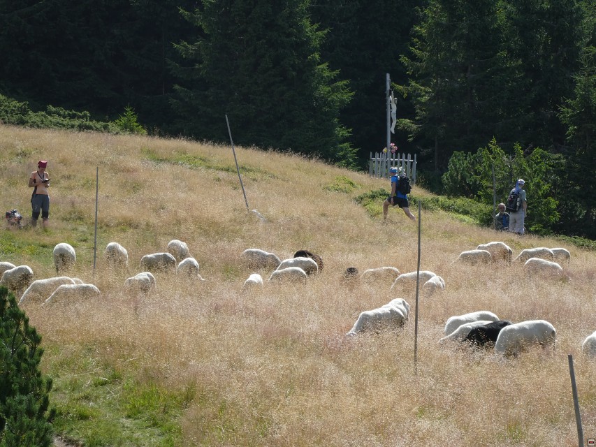 img00095.jpg