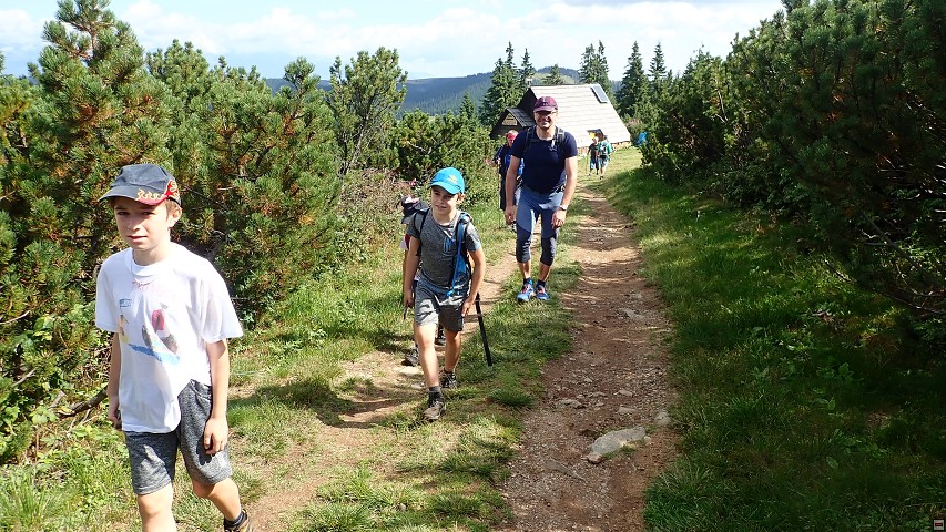 img00099.jpg