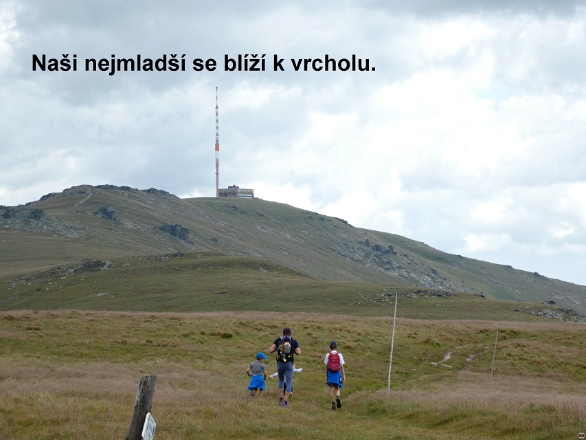 img00111.jpg