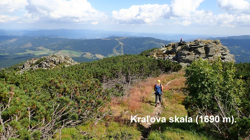 img00114.jpg