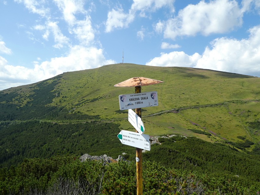 img00116.jpg