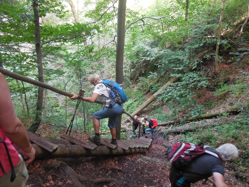 img00121.jpg
