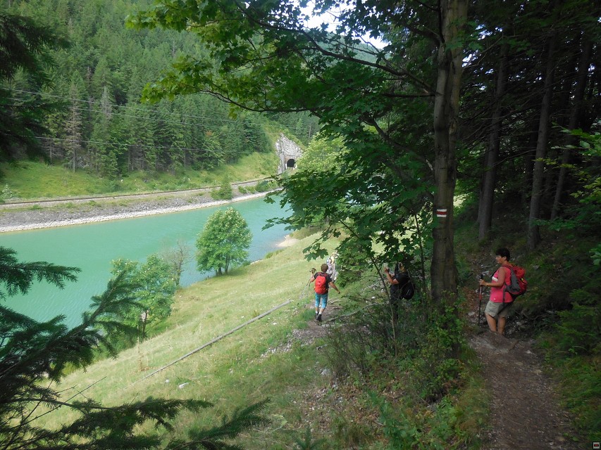 img00124.jpg