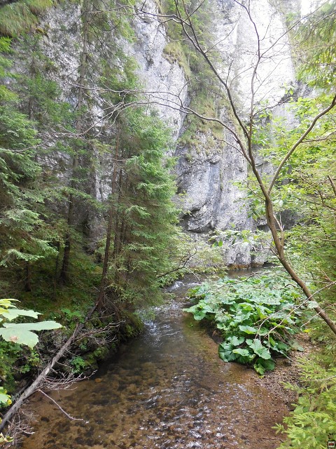 img00133.jpg