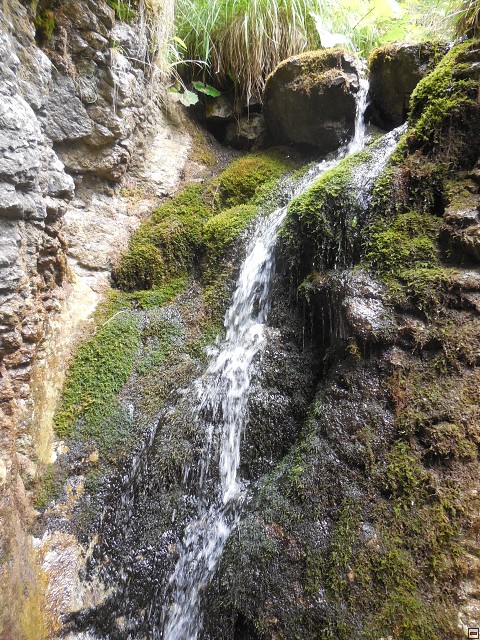 img00134.jpg