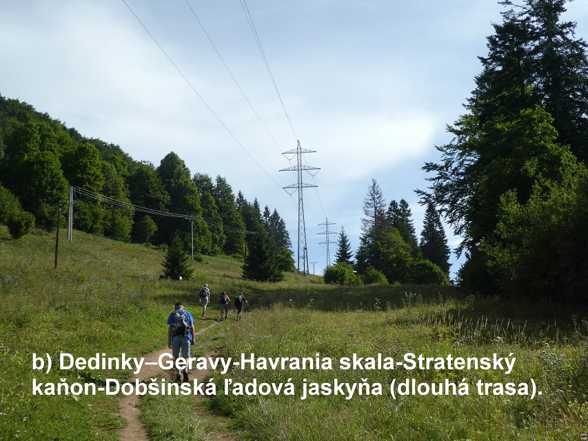 img00138.jpg