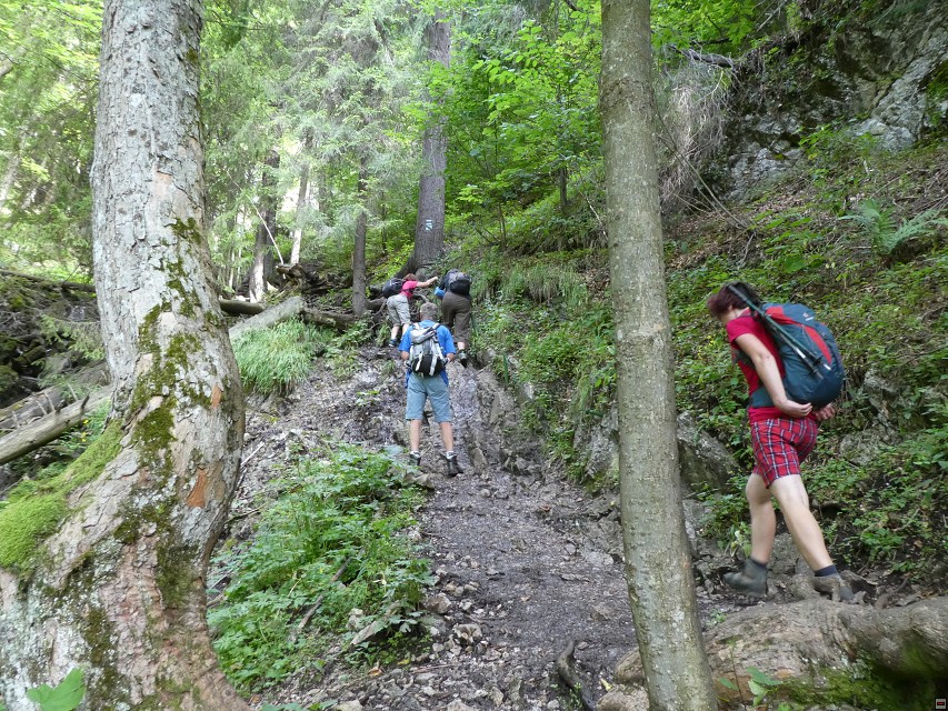 img00141.jpg