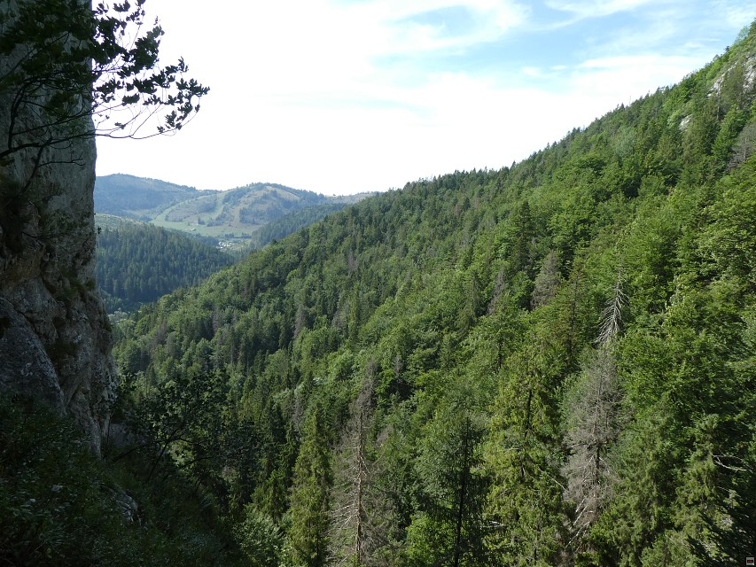 img00144.jpg