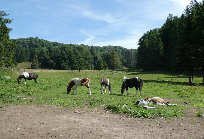 img00147.jpg