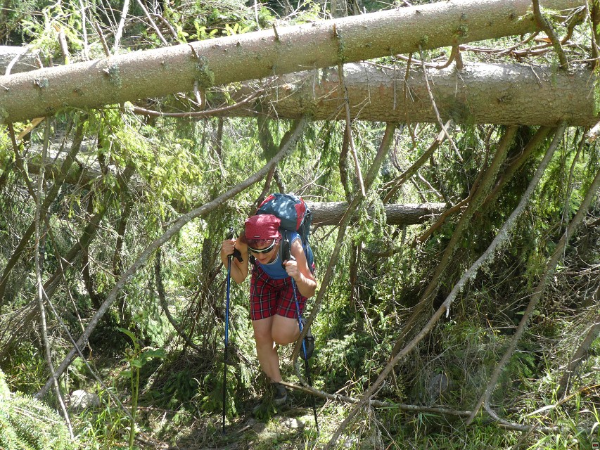 img00151.jpg