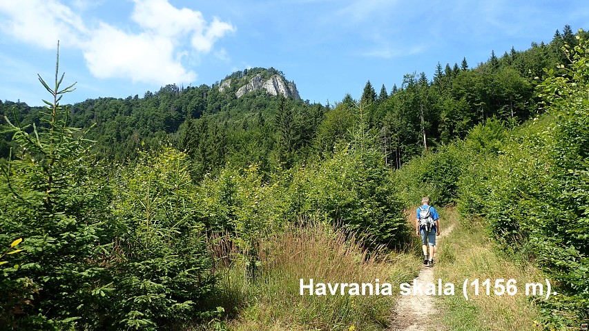 img00152.jpg