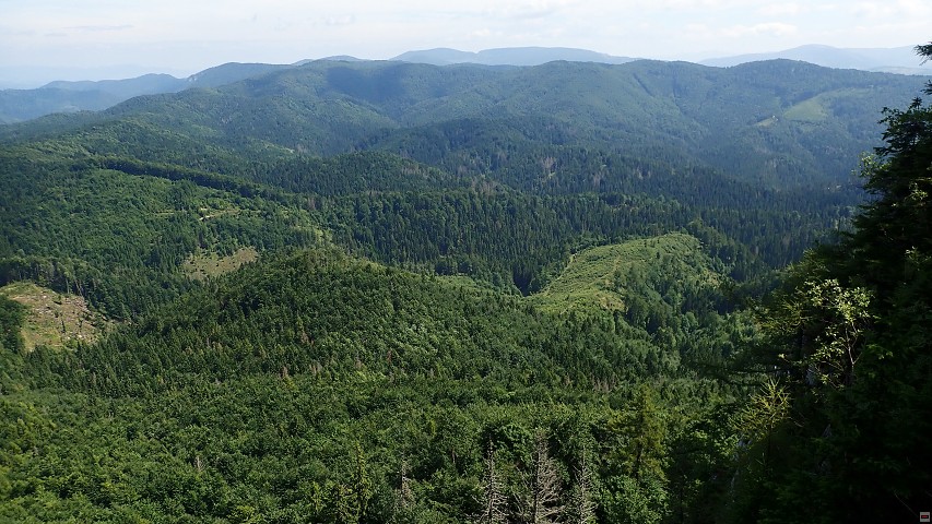 img00161.jpg