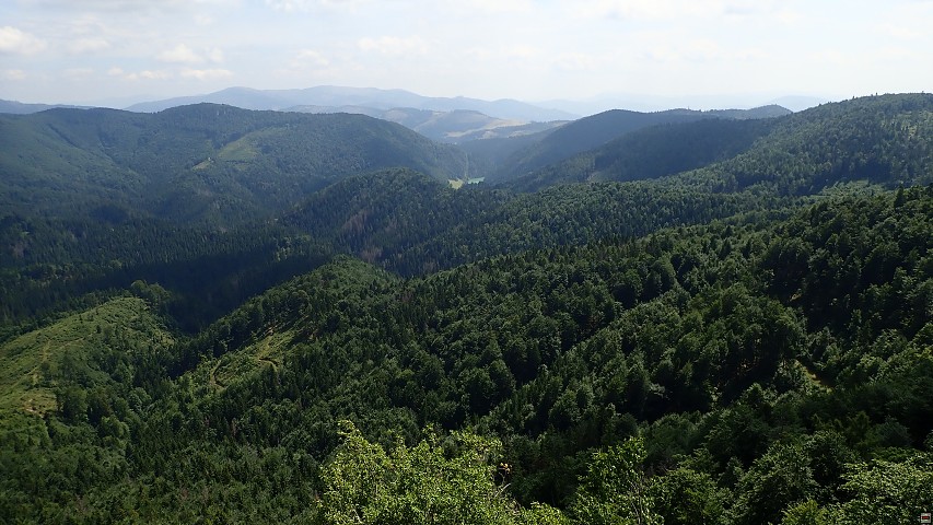 img00162.jpg