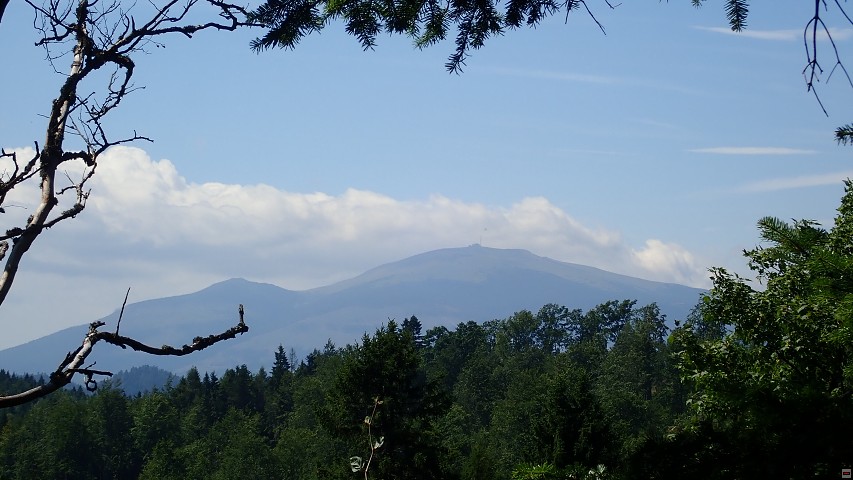 img00163.jpg