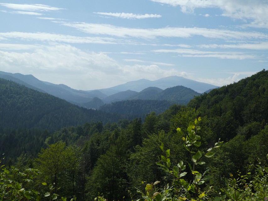 img00164.jpg