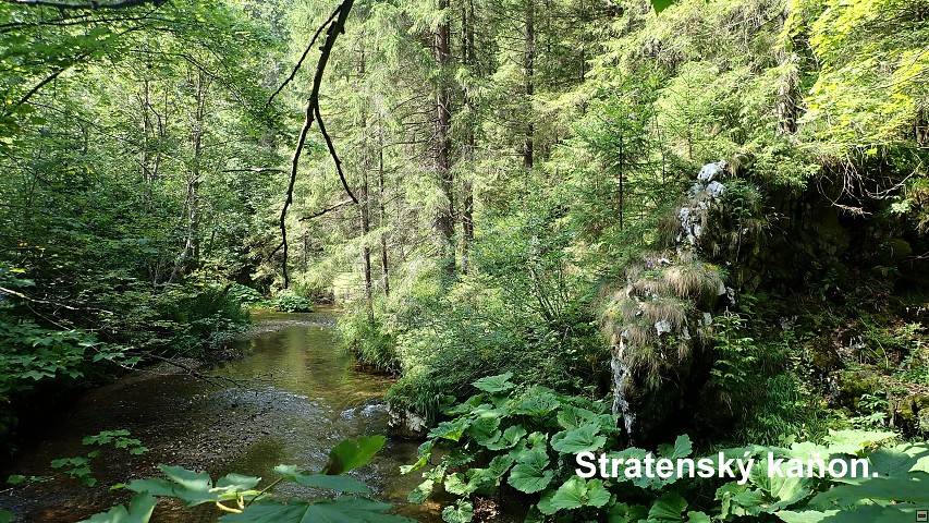 img00165.jpg