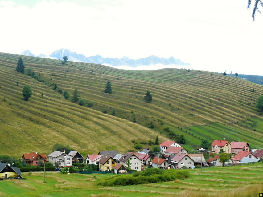 img00181.jpg
