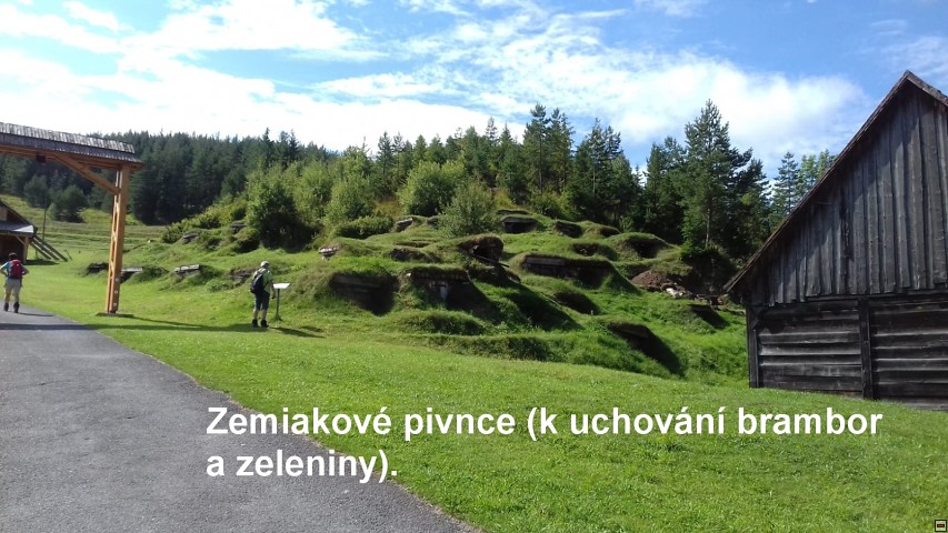 img00182.jpg