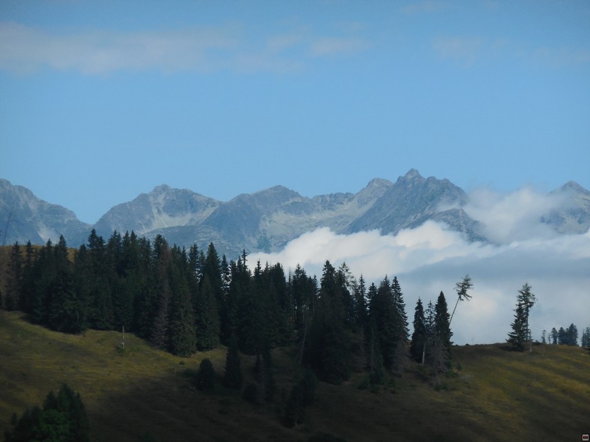 img00188.jpg