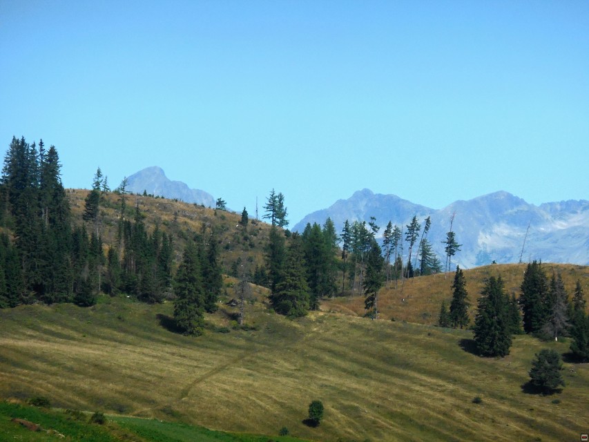 img00189.jpg